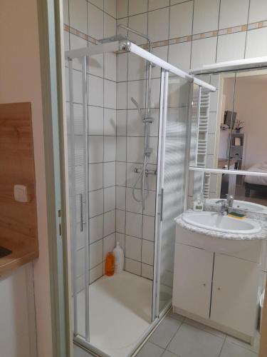 une salle de bain avec douche et lavabo dans l'établissement Studio Cosy 15 m2 au fond du jardin, à Châlons-en-Champagne