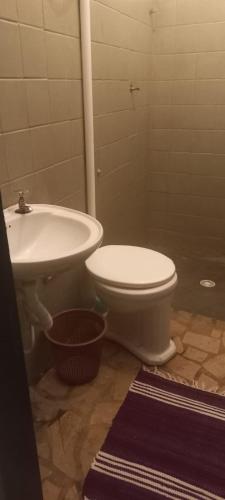 a bathroom with a toilet and a sink at Paradise Hospedaria São Thomé in São Thomé das Letras