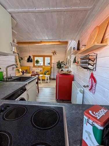 Wichtelhaisl Rittersgrün im Erzgebirge - Entspannen im fröhlichen Tiny House - umzäunter Naturgarten-Hunde willkommen-Ebike und Elektroauto laden