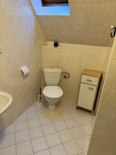 a bathroom with a toilet and a sink and a skylight at Penzion Lukeš in Vítkovice
