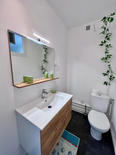 une salle de bain avec un lavabo blanc et des toilettes dans l'établissement Maison 