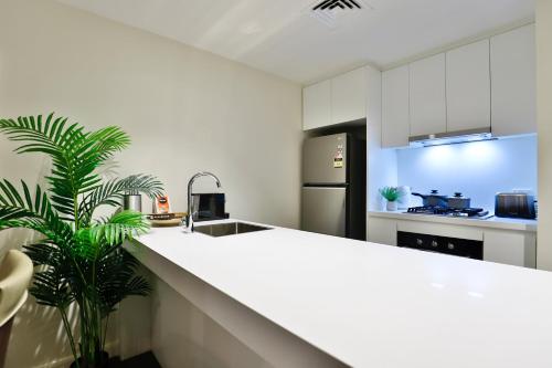 a kitchen with a white counter and a plant at Urban Oasis Residence - Views · Parking · Ease in Sydney