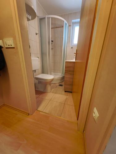 a small bathroom with a toilet and a shower at Apartment Ski Sara Pokljuka in Bled