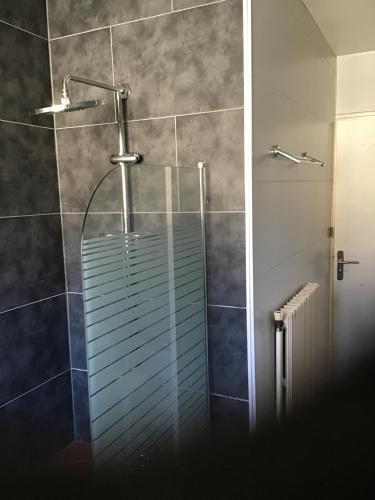 une salle de bain avec une douche avec une porte vitrée dans l'établissement Apartment in cozy house with terrace, à Aspres-sur-Buëch