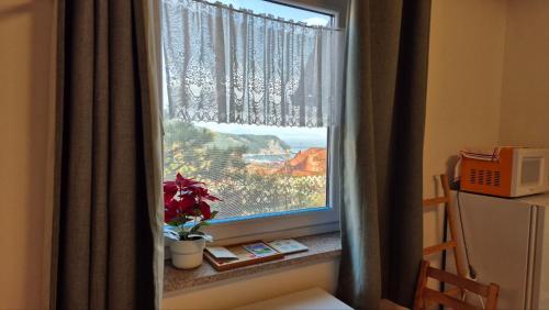 a window with a plant sitting on a window sill at 남해 독일마을 요하네스펜션 in Namhae