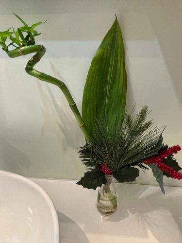 Una planta verde en un jarrón sobre un fregadero. en La casa di Beatrice e Francesca, en Turín