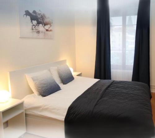 a bedroom with a bed with a black blanket at Appartement Famille in Geneva