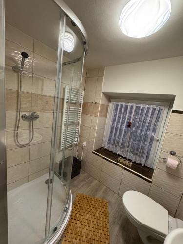 a bathroom with a shower and a toilet and a window at U Bocmana s výhledem na zámek a Labe in Děčín