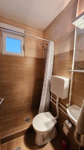 a bathroom with a toilet and a sink at Kuća sa lepim pogledom - porodica Čolović in Rudno