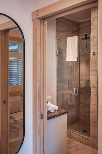 a bathroom with a shower with a mirror at Villa Experience Nature Le Nid in Saint-Irénée