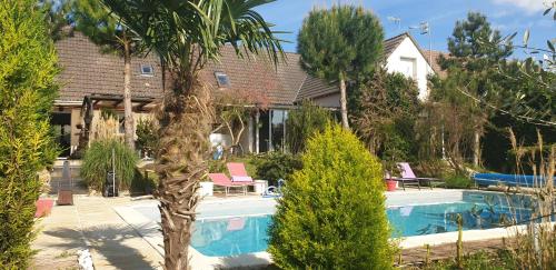 LOVEROOM avec JACCUZI Villa Les Pins في Marolles: منزل به مسبح والنخيل