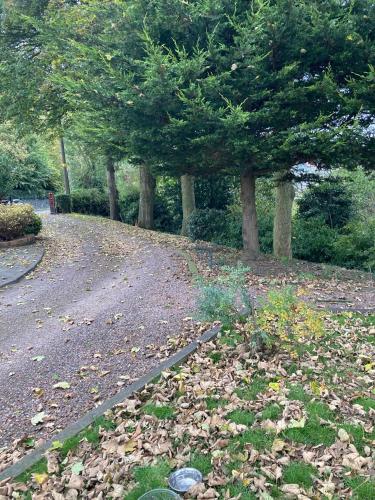 a road with trees and leaves on the ground at Lurgan Road Luxury Retreat in Banbridge in Banbridge