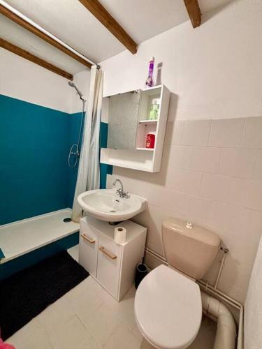 une salle de bain avec toilettes et lavabo dans l'établissement Studio au château de Lachau, à Lachau