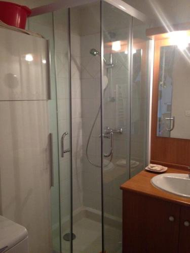 une salle de bain avec une douche en verre et un lavabo dans l'établissement Les 2 Alpes Apartment 6 pers Plein Sud, apartment & parking, à Les Deux Alpes
