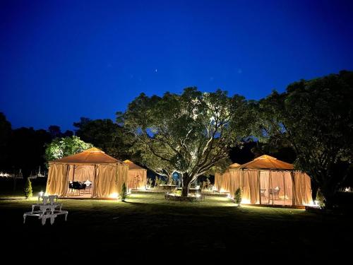 Zahrada ubytování 3Acres Resorts Dehradun
