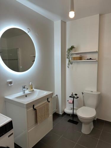 une salle de bain avec toilettes, lavabo et miroir dans l'établissement Appartement cosy proche de Paris avec Parking privé, à Vitry-sur-Seine