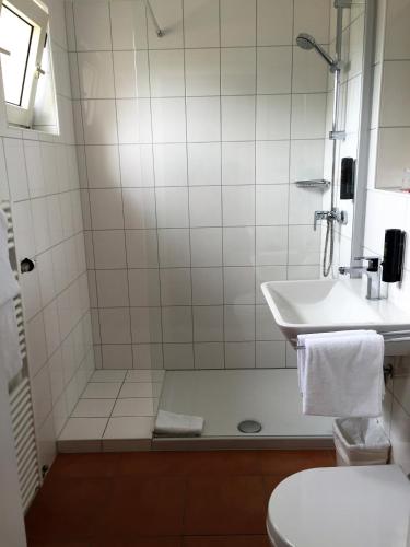 a bathroom with a shower and a sink at Privathotel Stickdorn in Bad Oeynhausen