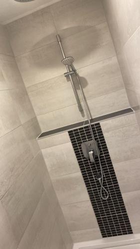 a shower with a ceiling with a vent in it at Harznester - Ferienhaus am Thie in Blankenburg