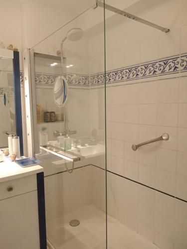 une salle de bain avec une douche en verre et un lavabo dans l'établissement LES ISLES Panoramic Sea View, à Marseille