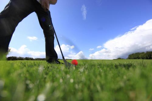 a person hitting a red ball with a stick at Landhotel Möllhagen in Schülp