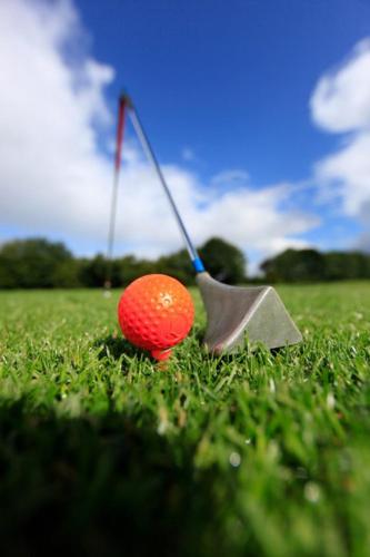 a golf ball and a club in the grass at Landhotel Möllhagen in Schülp