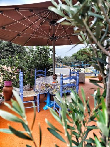 a table and chairs under an umbrella on a patio at B&B Terramare in Montiano