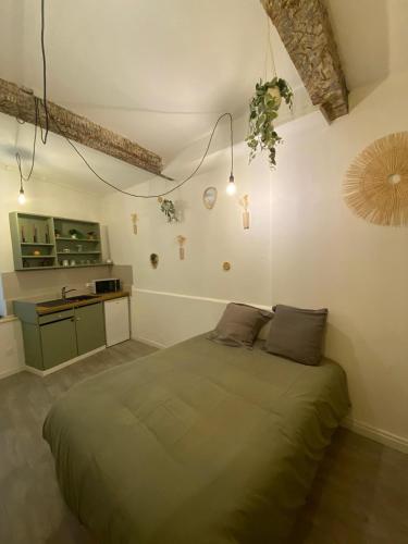 une chambre avec un grand lit dans une pièce dans l'établissement Location studio rue du sauvage, à Arles