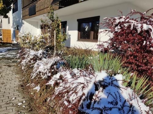 a garden with snow covered plants in front of a house at Wellness- HotTub & Sauna- Pet Friendly- Hiking in Keutschach am See