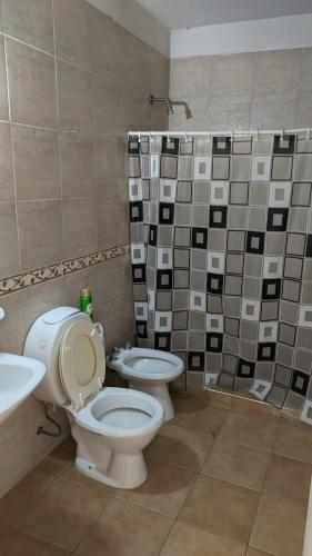 a bathroom with a toilet and a sink and a shower at Depto Pedro Vargas in San Rafael
