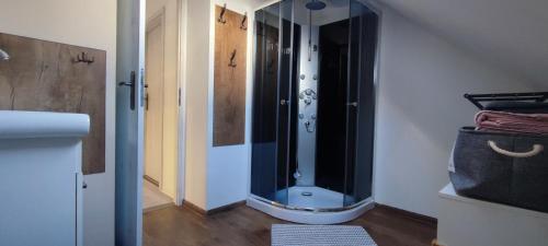 Koupelna v ubytování Apartmán Lily