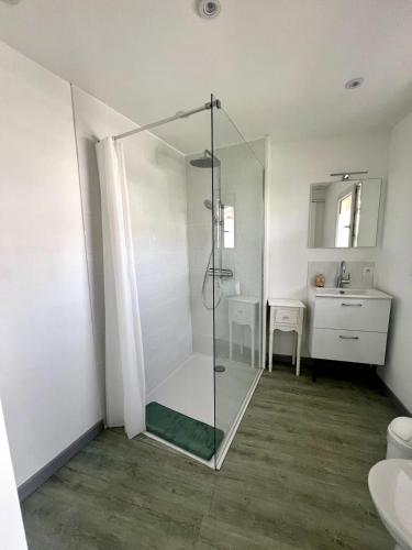 une douche en verre dans une salle de bain avec un lavabo dans l'établissement Casa 4 Saisons - Studio à thème - PiscineJardin - Proche centre-ville, à Brive-la-Gaillarde