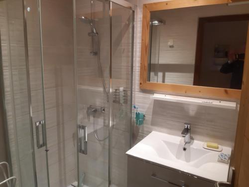 Un baño con ducha, lavabo y espejo. en Studio cabine au centre, balcon sud, parking, proche pistes et commerces - FR-1-459-89, en La Clusaz