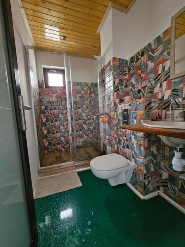 a bathroom with a shower and a toilet and a sink at Casuta Noastra - Sulina in Sulina