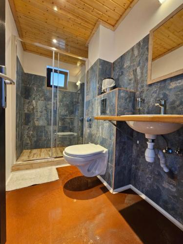 a bathroom with a toilet and a sink and a shower at Casuta Noastra - Sulina in Sulina