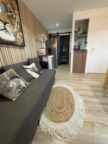 Kuchyň nebo kuchyňský kout v ubytování appartement avec Wifi résidence Les sables face mer