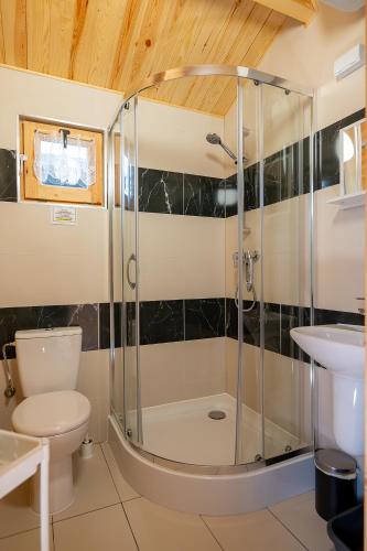 a bathroom with a shower and a toilet and a sink at Bałtyckie Klimaty in Gąski