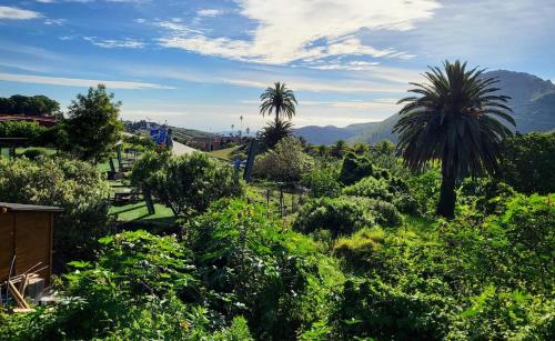 Φυσικό τοπίο κοντά σε αυτό το διαμέρισμα