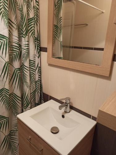 une salle de bain avec un lavabo et un rideau de douche dans l'établissement appartement hyper centre ville au 1er étage, à Cherbourg en Cotentin