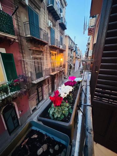 Maison Castro Casetta a Palermo photo 22
