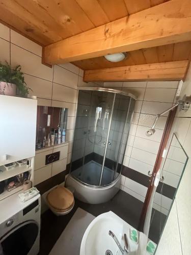 a bathroom with a shower and a sink at Cozy 5 room house in Drienovská Nová Ves
