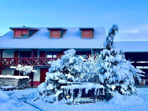 un arbre couvert de neige devant un bâtiment dans l'établissement La Grange - Ground Floor Apartment, Terrace, Free Private Parking, Near Colmar, à Sainte-Croix-en-Plaine