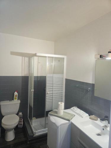 une salle de bain avec une douche, des toilettes et un lavabo dans l'établissement Comfortable furnished studio, à Aix-les-Bains