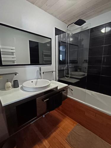 une salle de bain avec un lavabo et une douche dans l'établissement linge fourni 3 etoiles Proche mer et centre ville, à Saint-Gilles-Croix-de-Vie