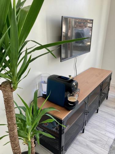 - une table avec un grille-pain à côté d'une plante dans l'établissement Studio lumineux Gagny - 2min du RER, à Gagny