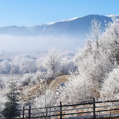 a snow covered hill with a fence and a river at Dumbrava Ursului in Zărneşti