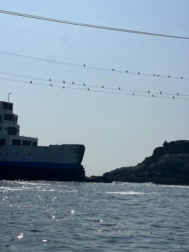 a ship in the water with birds on a wire at Ocean View Premiere Depa Naplo in Naplo