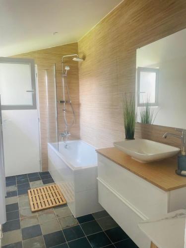 une salle de bain avec une baignoire, un lavabo et une douche dans l'établissement Cabane de Pénélope avec spa privé centre-ville et plage, à Andernos-les-Bains