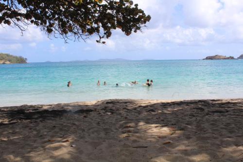 a group of people in the water at the beach at Sugarapple Bequia in Bequia