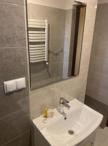 a bathroom with a sink and a mirror at Apartament Mączyńskiego in Jarosław