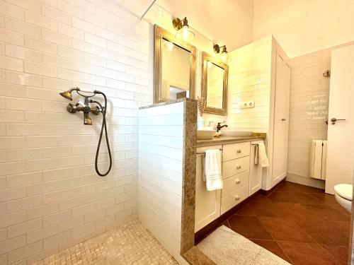 a bathroom with a shower and a sink at Casa rural Las Golondrinas in Huércal-Overa